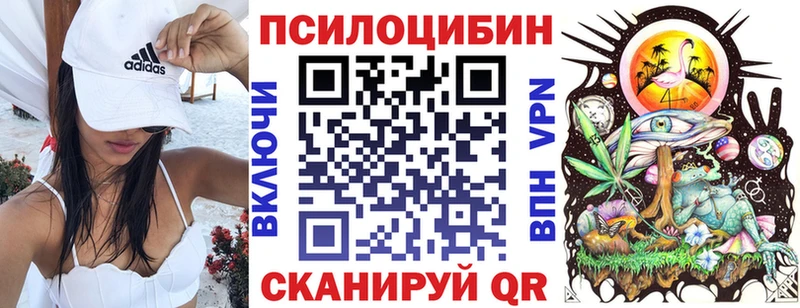 где купить   Зея  Галлюциногенные грибы прущие грибы 